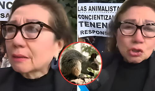 Una vecina de Surquillo fue multada por alimentar ardillas en parque cercano a su hogar. Foto: Composición LR/Captura de pantalla de YouTube/CDN Una vecina de Surquillo fue multada por alimentar ardillas en parque cercano a su hogar. Foto: Composición LR/Captura de pantalla de YouTube/CDN