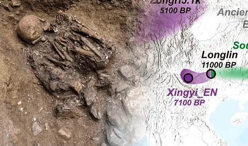 Un equipo de científicos descubrió, al suroeste de China, un esqueleto de 7.100 años que revela la existencia de un 'linaje fantasma'. Foto: Composición LR/Live Science Descubren el ADN de un 'linaje fantasma' tras el hallazgo de un esqueleto de 7.100 años de antigüedad en China