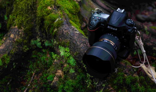 "Cortometrajes amazónicos". Imagen: Difusión.