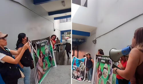 Vecinos de El Agustino denuncian maltrato animal dentro de vivero municipal. Foto: composición LR Vecinos de El Agustino denuncian maltrato animal dentro de vivero municipal. Foto: composición LR