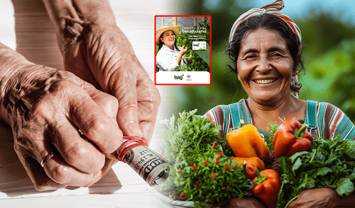 El bono Agrícola alcanza los 75 dólares en El Salvador. Foto: composición LR/Freepik/MAG