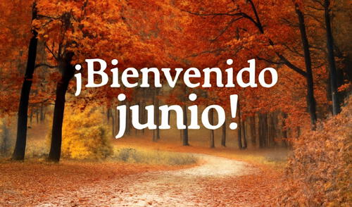 Comparte frases, mensajes y más por el mes de junio 2025.