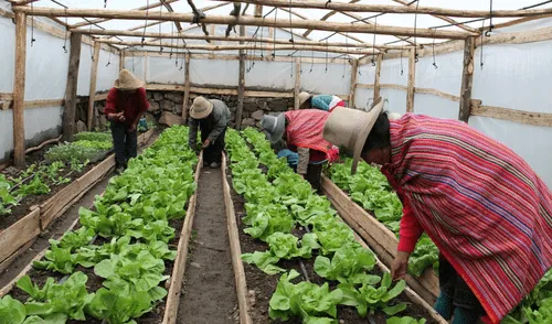 Inversión permitirá a las comunidades generar ingresos sostenibles mediante emprendimientos productivos.