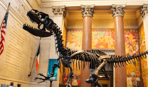 Museos de Nueva York ofrecen entrada gratis desde el 20 de junio.