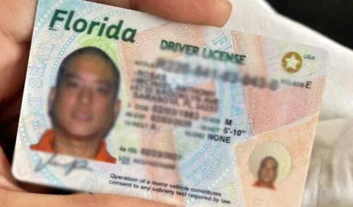 Florida impone multas y retiene la licencia de conducir por manejar con el permiso vencido.