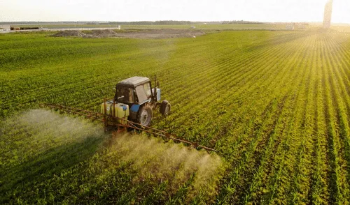 Un estudio reciente destacó la capacidad de Guyana para alimentar de forma autosuficiente a todos sus ciudadanos. Foto: IStock Un estudio reciente destacó la capacidad de Guyana para alimentar de forma autosuficiente a todos sus ciudadanos.