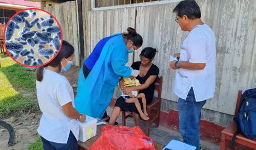 Minsa niega el uso obligatorio de mascarillas y confinamiento por tos ferina. Foto: Composición LR/CDN/La Vanguardia