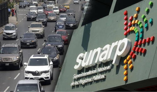 Sunarp emite alerta a los propietarios si otras personas intentan acceder a los datos de la placa.