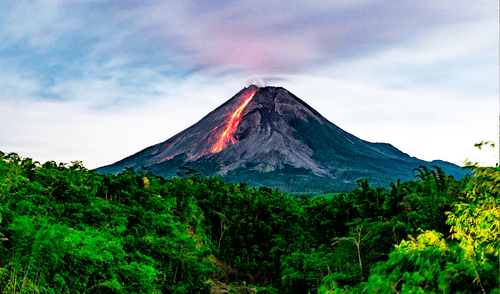 Investigadores encontraron cambios en el color de la vegetación cerca a los volcanes a punto de hacer erupción.