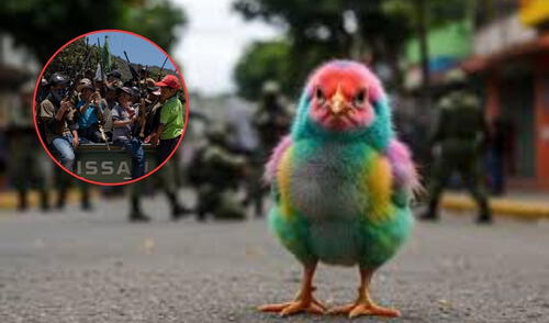 Cárteles reclutan niños cada vez más menores para el narcotráfico. Cárteles reclutan niños cada vez más menores para el narcotráfico.