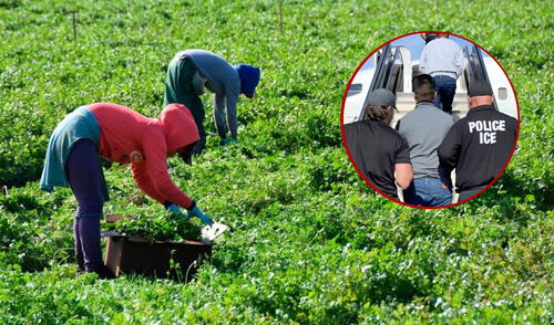 Las deportaciones de Trump han sembrado miedo en un sector vital de Nueva York.