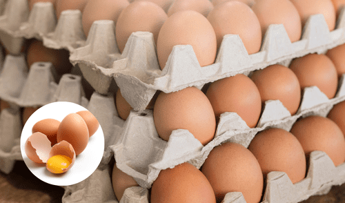 Los huevos son ricos en proteínas, carbohidratos y grasas saludables. Foto: Composición LR
