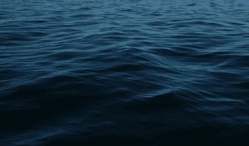 Los efectos del oscurecimiento oceánico también se extienden a los servicios ecosistémicos que afectan a millones de personas. Los efectos del oscurecimiento oceánico también se extienden a los servicios ecosistémicos que afectan a millones de personas. Foto: Gizmodo