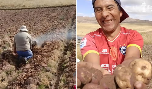 "Habemus papas": Agricultor peruano bromea sobre el papa León XIV durante cosecha y muestra humo blanco
