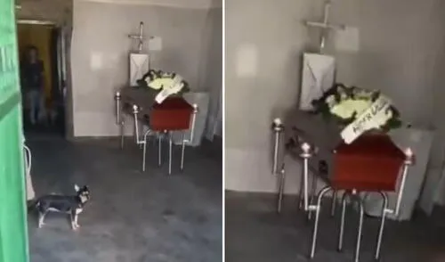 Joven va a cobrar deuda a cliente, pero descubre que falleció: “Hace 3 días le hice el crédito”