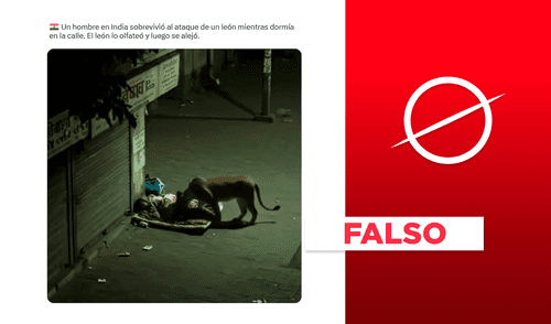 León falso en la India