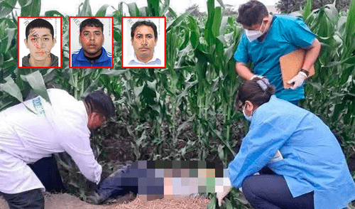 Ataques sangrientos continua en las diferentes regiones del país. Entre las victimas hay un abogado. Foto: Composición LR/Cortesía