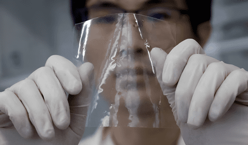 Este reciente producto posee características similares al plástico, pero ha sido desarrollado con el propósito de proteger el medio ambiente.