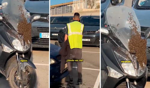 Video tiene millones de vistas. Foto: captura de TikTok/@elespanolcom