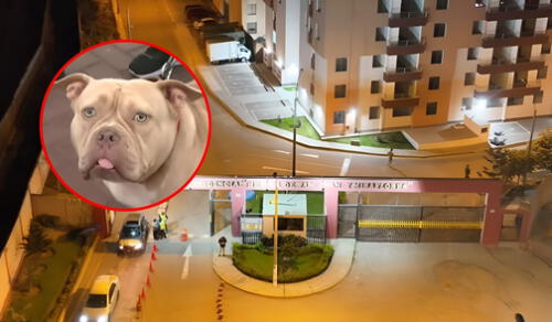 La tragedia ocurrió en la Residencial Héroes de San Juan de Miraflores. Foto: Composición LR