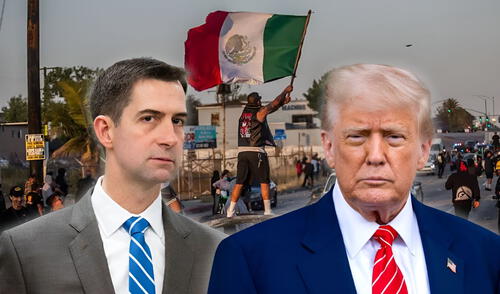El senador Tom Cotton propuso dos proyectos de ley para penalizar sin visas y deportación a inmigrantes que participen en disturbios en Estados Unidos. Tom Cotton propone revocar visas y deportar inmigrantes que vayan en contra de las políticas de Donald Trump en Estados Unidos.