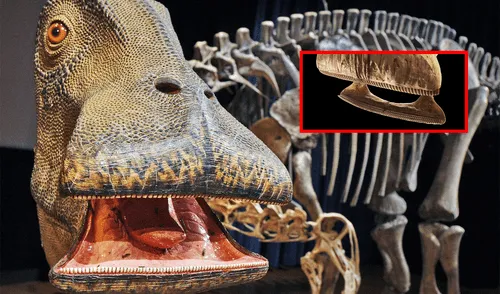 Nigersaurus taqueti, Dinosaurio