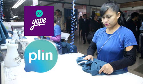 Trabajadores podrán acceder al pago de sus sueldos a través de Yape, Plin y otras billeteras digitales.