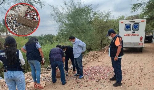 Desechos fueron arrojados a la vía pública. Fiscalía llegó al lugar para iniciar las investigaciones correspondientes. Foto: Composición LR/Cortesía