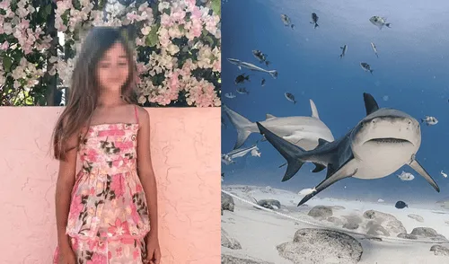 Leah Lendel fue atacada por un tiburón en una playa de Florida. Leah Lendel fue atacada por un tiburón en una playa de Florida.