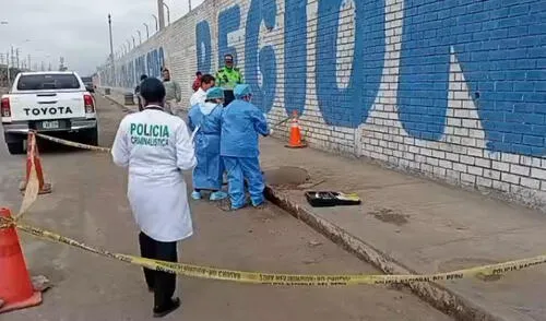 Fiscalía investiga origen de órganos encontrados en urbanización Los Jazmines