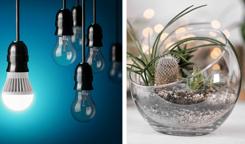 Los focos quemados o en desuso pueden servir para reciclar. Foto: Composición LR