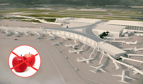 Una pasajera estadounidense fue detenida por llevar una manzana en su equipaje. Foto: composición LR/Wosu/La Vaquita Una pasajera estadounidense fue detenida por llevar una manzana en su equipaje. Foto: composición LR/Wosu/La Vaquita