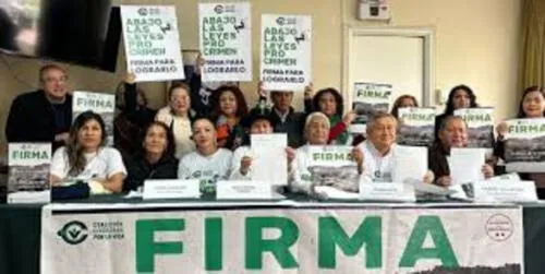 irma del aguila irma del aguila