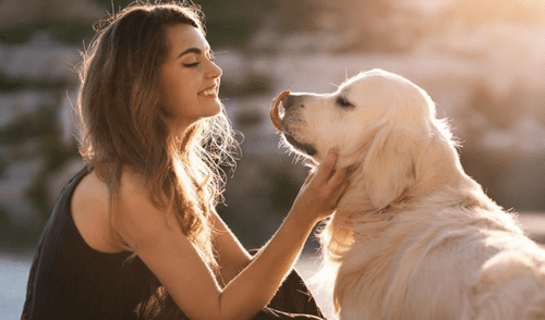 Es cada vez más común ver a personas acariciando animales callejeros Foto: La opinión A coruña