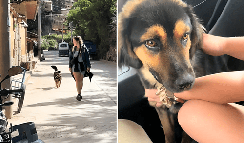 Una mochilera británica recaudó más de US$20.000 a un perrito abandonado en las calles de Cusco. Foto: composición LR/TikTok