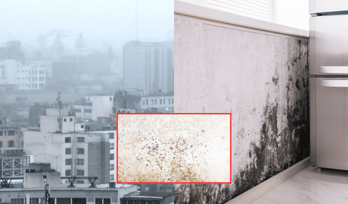 Los 10 distritos de Lima más propensos a la formación de moho, según Senamhi: puede dañar la infraestructura de tu hogar y tu salud