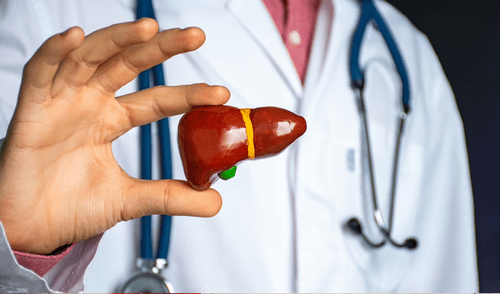 El hígado graso se ha convertido en una problema de salud común, debido a las rutinas sedentarias y dietas procesadas.