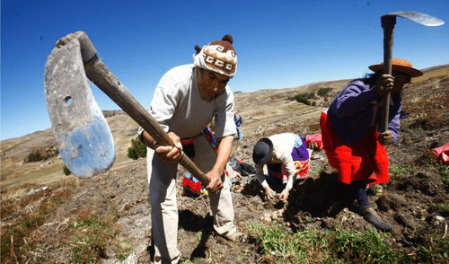 Cada 24 de junio se conmemora el Día del Campesino en todo el territorio peruano. Cada 24 de junio se conmemora el Día del Campesino en todo el territorio peruano.