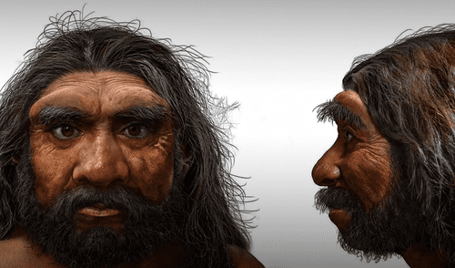 Este descubrimiento convierte al 'Dragon Man' en el primer cráneo completo atribuido con certeza a los denisovanos. Foto: CNN. Estudio científico determina cuál es el verdadero origen del 'hombre dragón' utilizando análisis de ADN de última generación