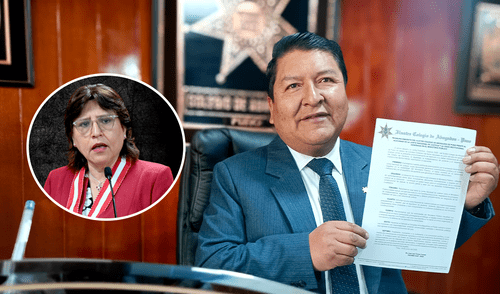 El Colegio de Abogados de Puno emitió un comunicado respaldando a Delia Espinoza como fiscal de la Nación. Foto: Composición LR/Liubomir Fernández, La República El Colegio de Abogados de Puno emitió un comunicado respaldando a Delia Espinoza como fiscal de la Nación. Foto: Composición LR/Liubomir Fernández, La República