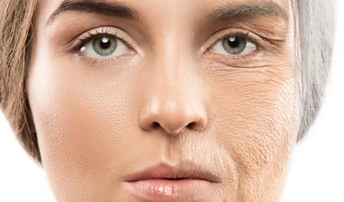 Científicos descubren que el cuerpo humano envejece más rápidamente en dos etapas clave de la vida, según estudio genético