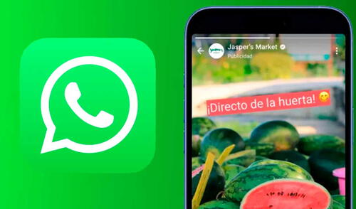Los usuarios de WhatsApp en la UE seguirán sin ver anuncios. Los usuarios de WhatsApp en la UE seguirán sin ver anuncios. Foto: e-veracruz