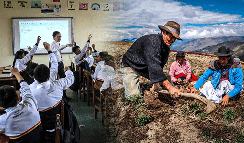 El 24 de junio se celebra el Día del Campesino. Foto: Gerson Cardoso/LR/difusión El 24 de junio se celebra el Día del Campesino. Foto: Gerson Cardoso/LR/difusión