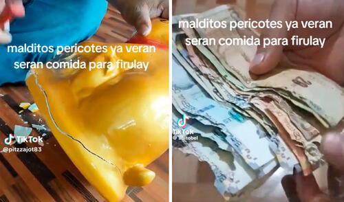 Al romper la alcancía, el muchacho encontró en el fondo a los ratones muertos y en estado de descomposición.