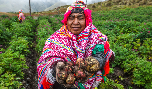 Día del Campesino 2025: conoce 50 frases para conmemorar este día.