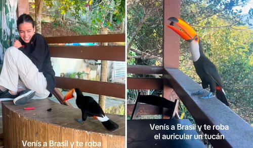 Video tiene millones de reproducciones en la plataforma. Video tiene millones de reproducciones en la plataforma. Foto: captura de TikTok/@arubelen