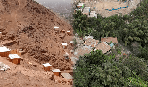 Mujer originaria de Ayacucho ha construido un singular bosque urbano en SJL. Foto: composición LR / AFP