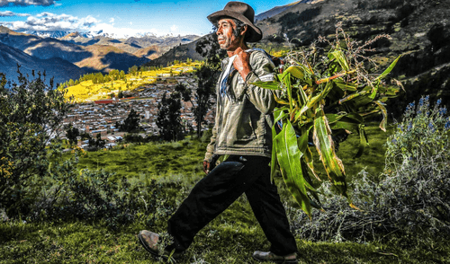 El Día del Campesino en 2024 se celebrará el martes 25 de junio en Perú. El Día del Campesino en 2024 se celebrará el martes 25 de junio en Perú.