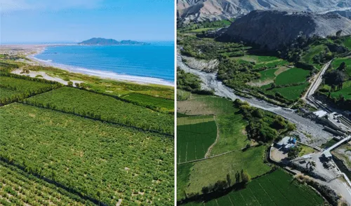 El Midagri impulsa el destrabe de 4 proyectos de irrigación para fomentar las agroexportaciones.