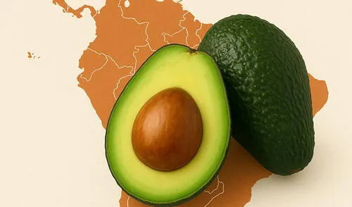 España | Sudamérica